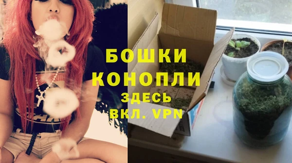 гидра Киреевск