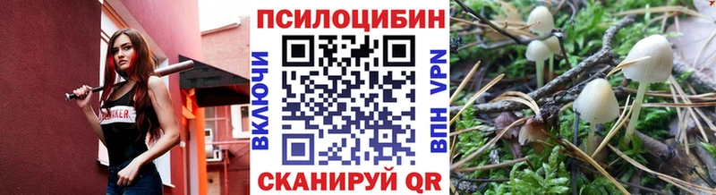 Купить закладки  Волжск  Галлюциногенные грибы Psilocybe 