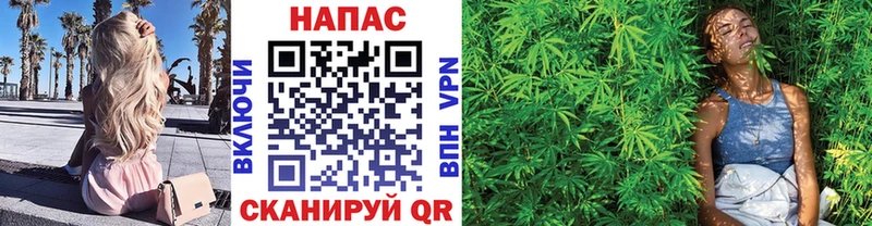 Купить закладки  Волжск  Конопля планчик 